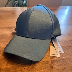 Aritzia baseball hat in blue. NWT